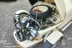 Lomax-77253090-4